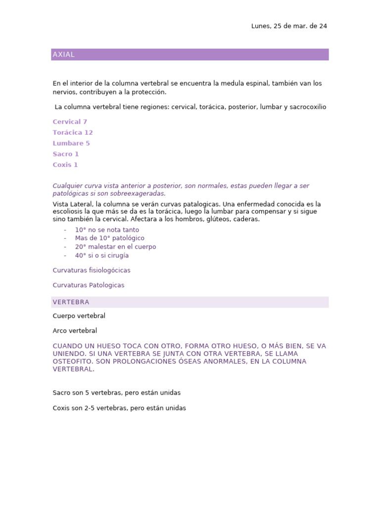 Anatomía y Curvaturas de la Columna Vertebral | PDF | La columna ...