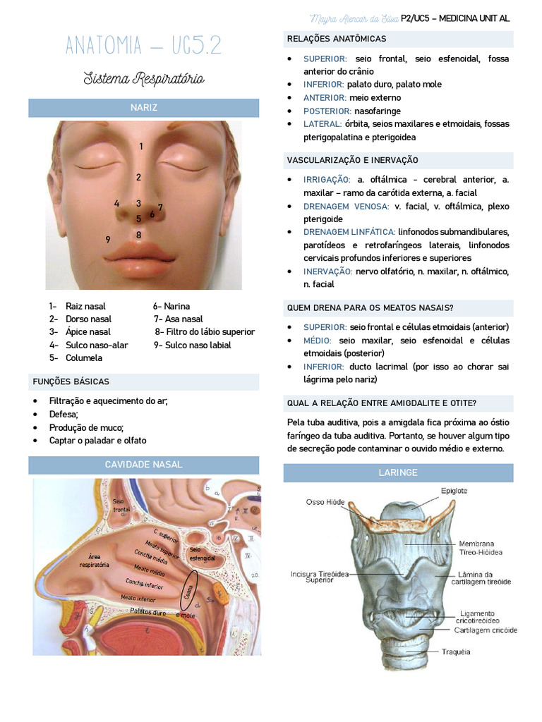 Anatomia - UC5.2 - Respiratório e Cardiovascular | PDF | Átrio (coração ...