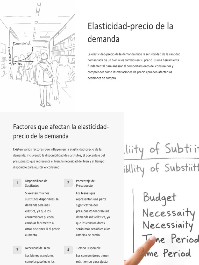 Elasticidad Precio de La Demanda | PDF