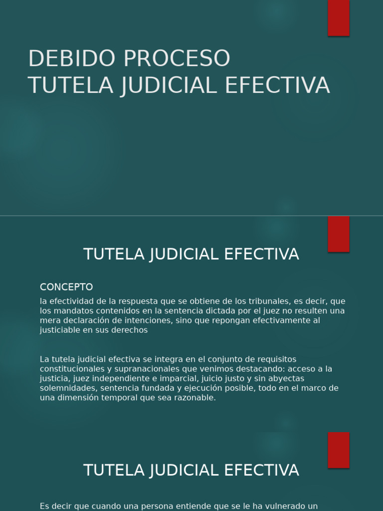 Tutela Judicial Efectiva y Debido Proceso | PDF | Debido al proceso | Juez