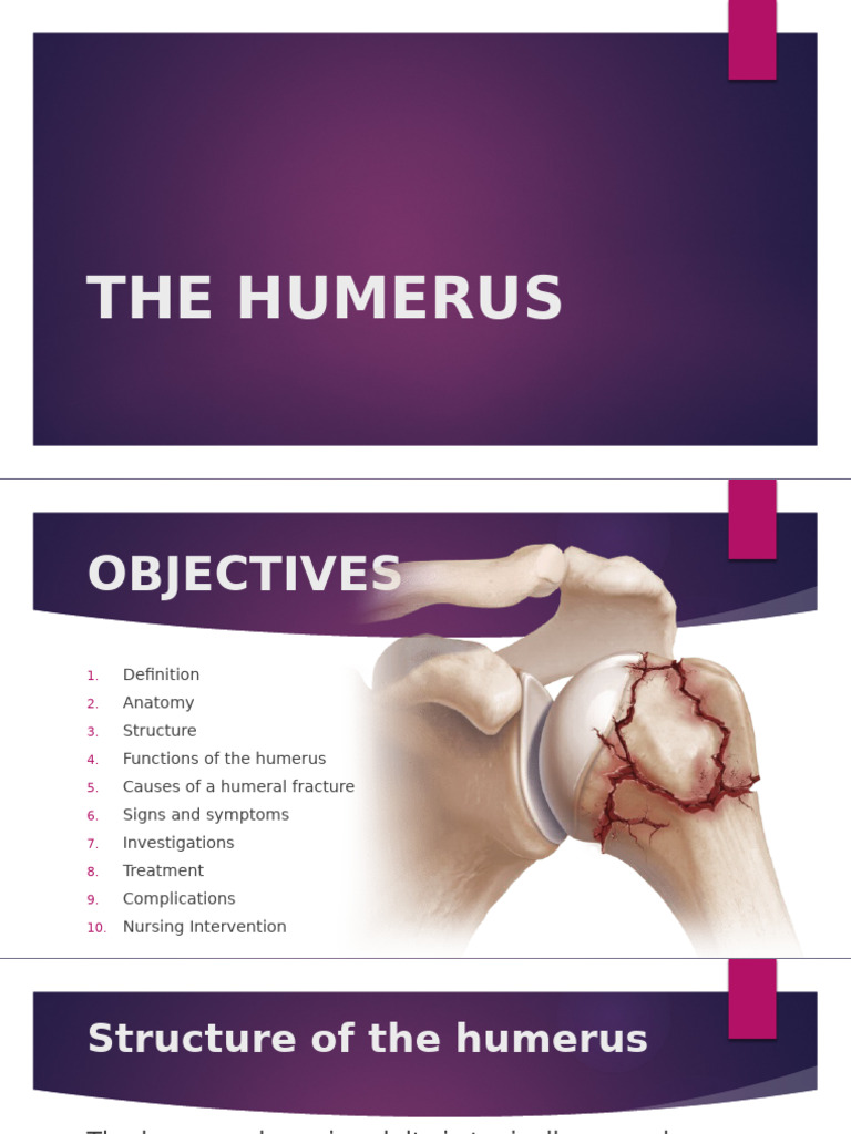 Humerus Fracture Guide | PDF