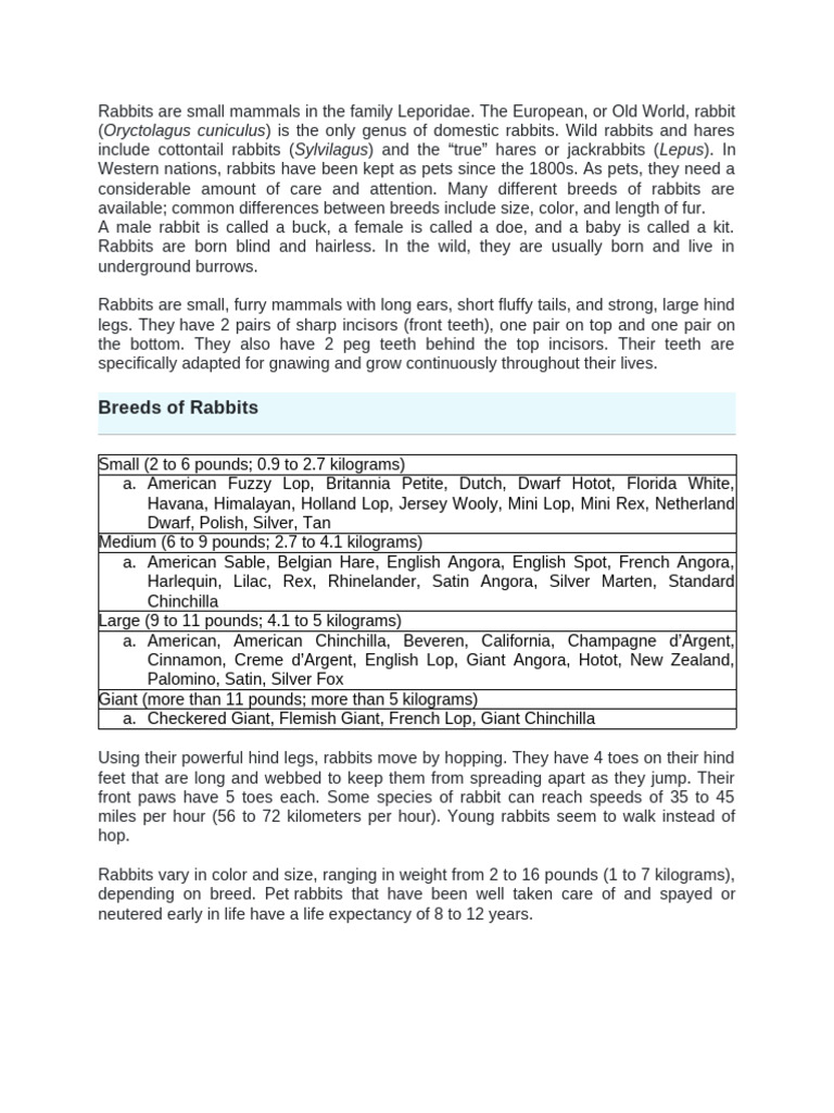 Fun Facts About Pet Rabbits | PDF