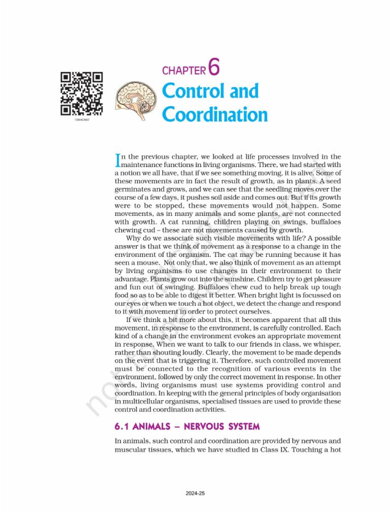 Chapter 6 | PDF