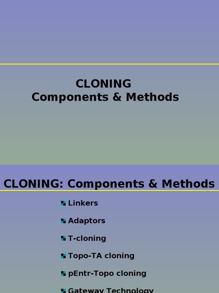 Cloning Methods PDF Molecular Cloning Plasmid
