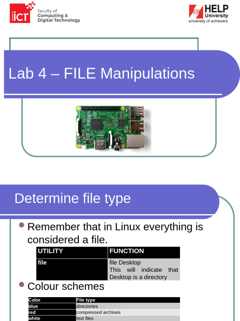 FileManipulation 1 | PDF