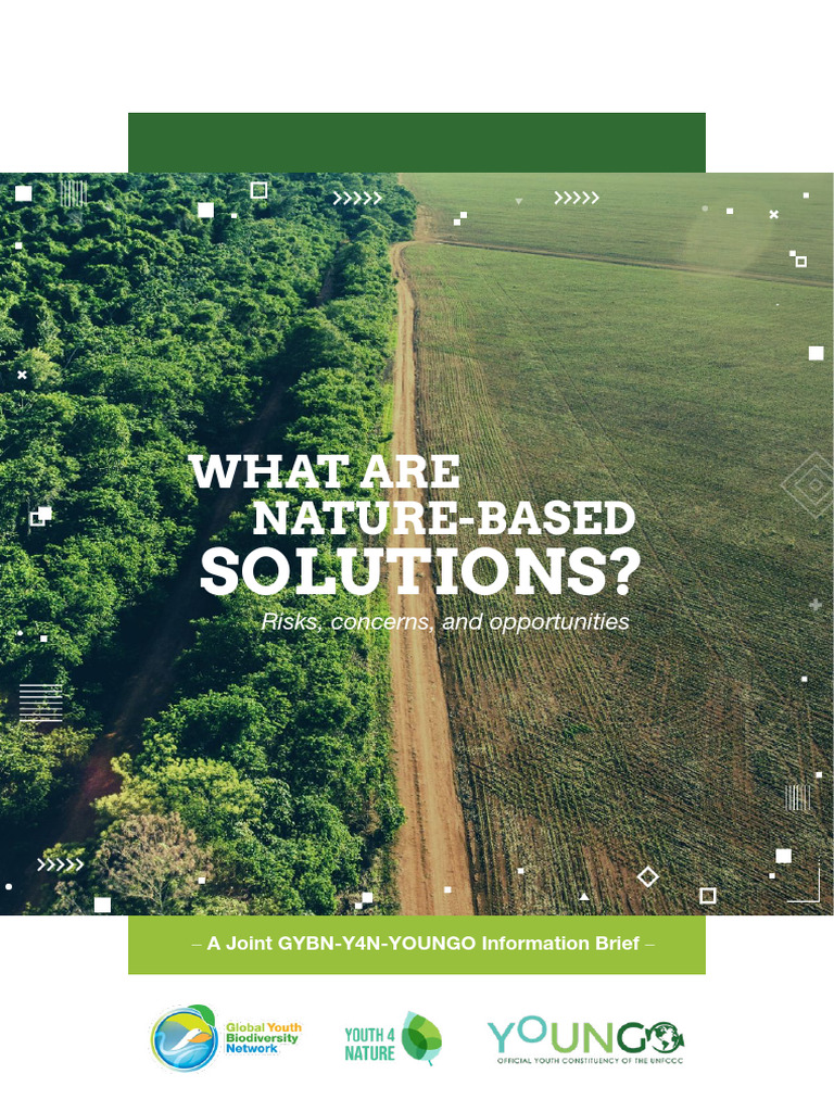 Nature Based Solutions Pdf Climate Change Mitigation Earth Sciences