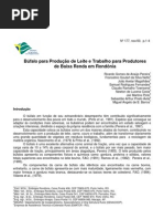 Búfalo para Produção de Leite e Trabalho para Produtores de Baixa Renda em Rondônia