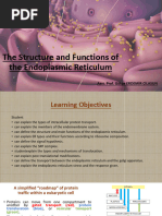 SER vs RER: Functions and Differences | PDF | Endoplasmic Reticulum ...