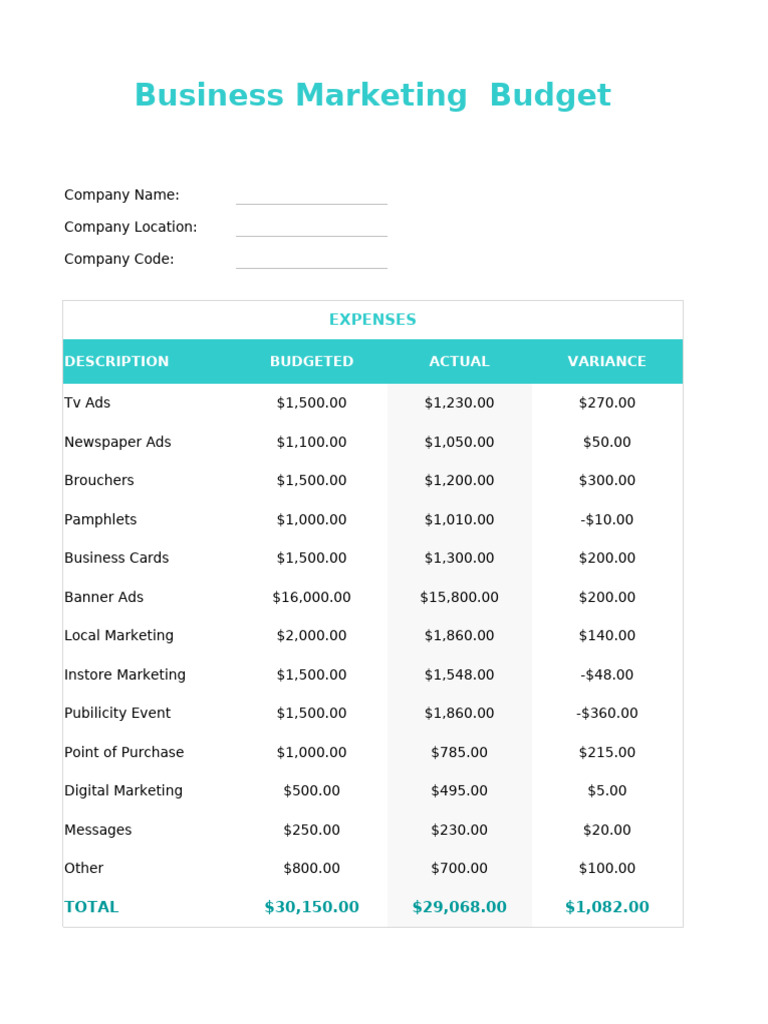 Business Marketing Budget Overview | PDF