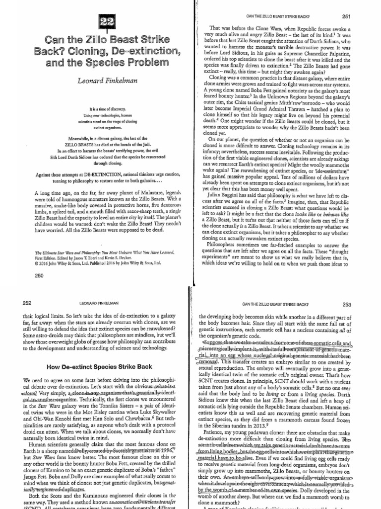 Can Zillo Beast-1 | PDF
