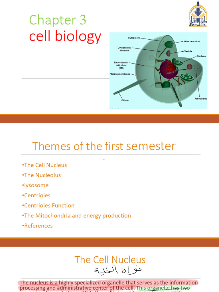 cell biology chapter 3+ | PDF | Lysosome | Cell Nucleus