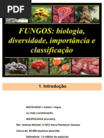 17 - Morfologia Classificacao e Aplicacao Dos Fungos 2010.2