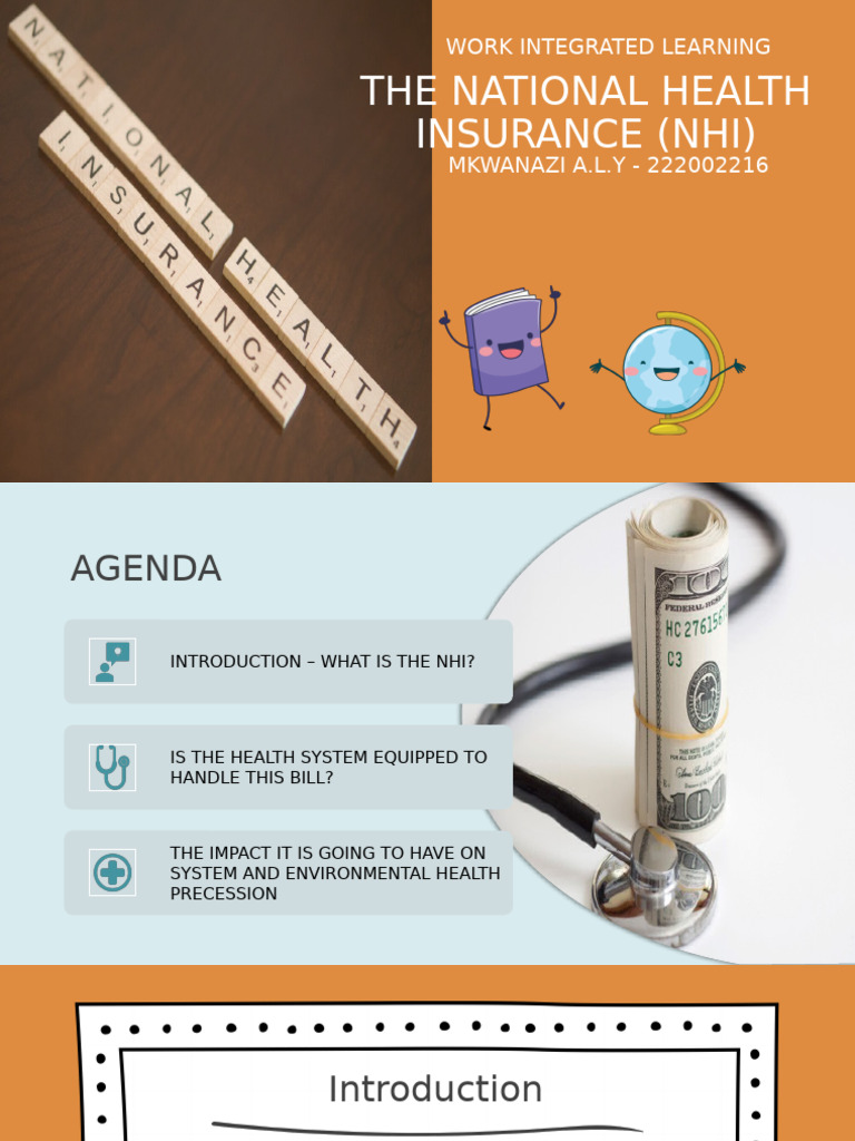 South Africa S National Health Insurance Challenges Pdf Health