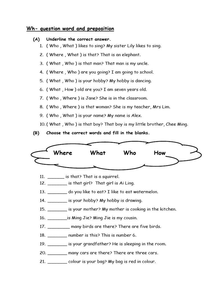 Wh- Questions and Prepositions Practice | PDF