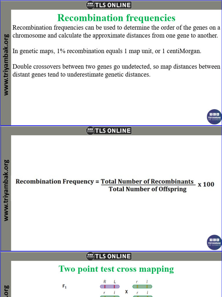Recombination Fre | PDF | Genetic Linkage | Biotechnology