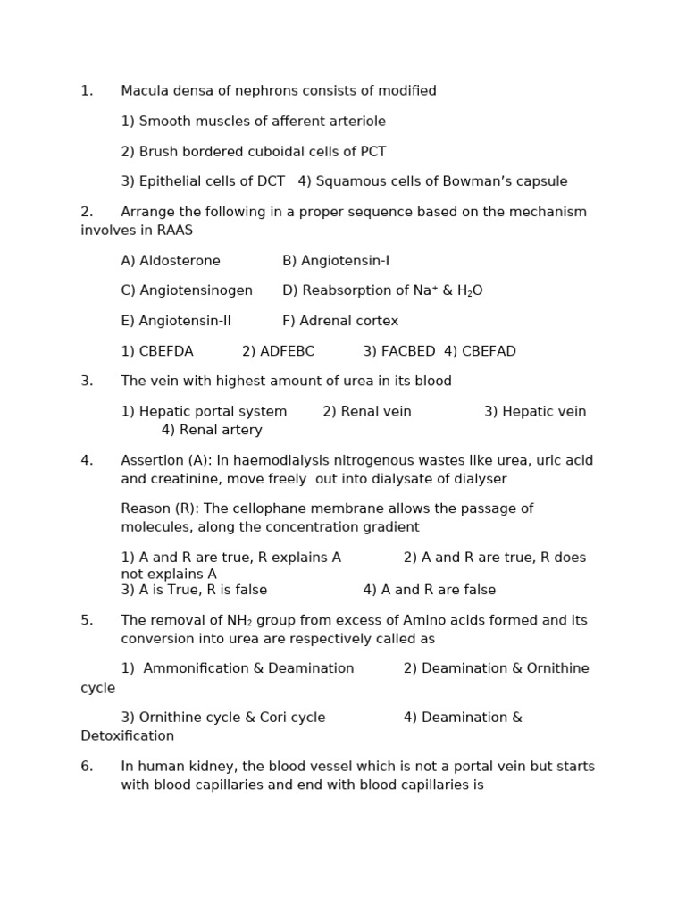 EXCR_SYSTEM | PDF | Kidney | Angiotensin