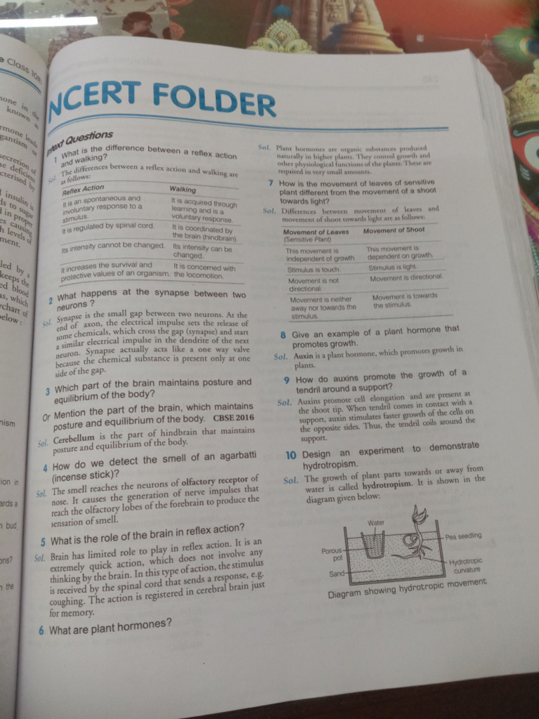 Control and Co Ordination 11-Nov-2024 08-08-53 | PDF