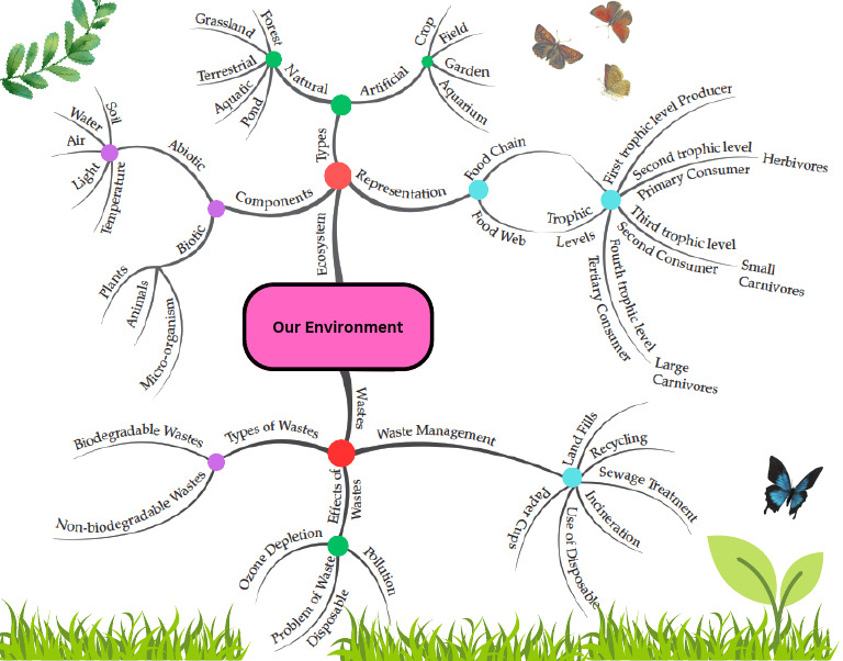 Cbse Class 10 Science Chapter 13 Our Environment Mind Map | PDF