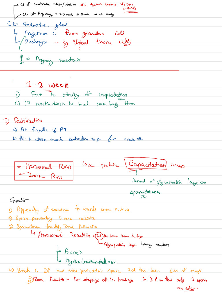 Embroyology | PDF | Mammal Reproductive System | Sexual Reproduction