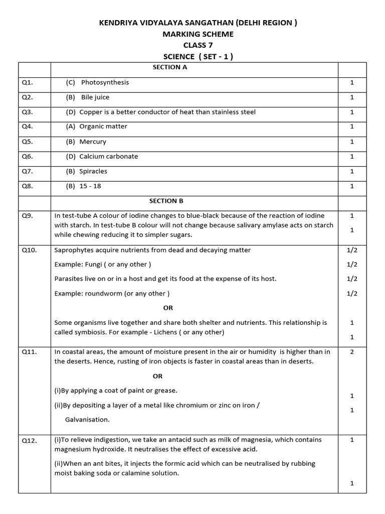 Class 7 Science Marking Scheme Set 1 | PDF | Cellular Respiration ...