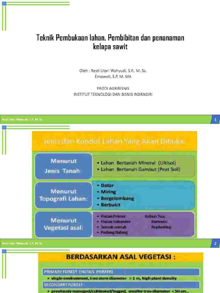 Lahan perkebunan kelapa sawit yang sedang dalam proses peremajaan