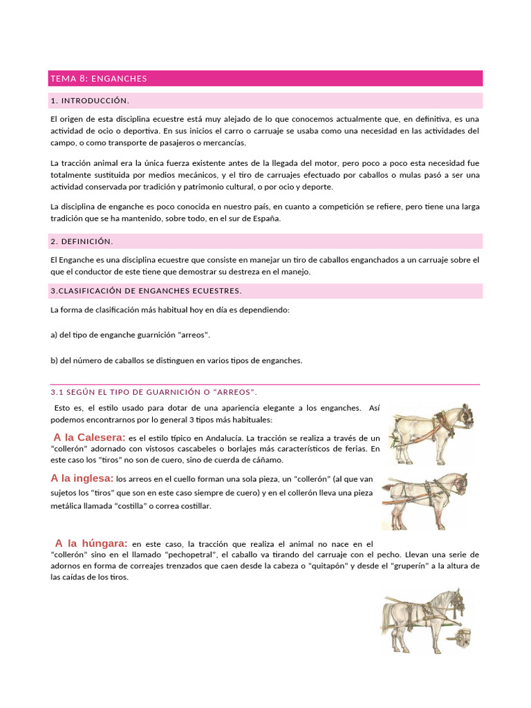 Tema 6 - Enganches | PDF | Carro | Caballos