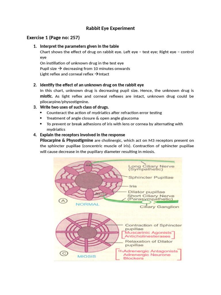 Rabbit Eye Experiment Notes | PDF | Ophthalmology | Human Eye
