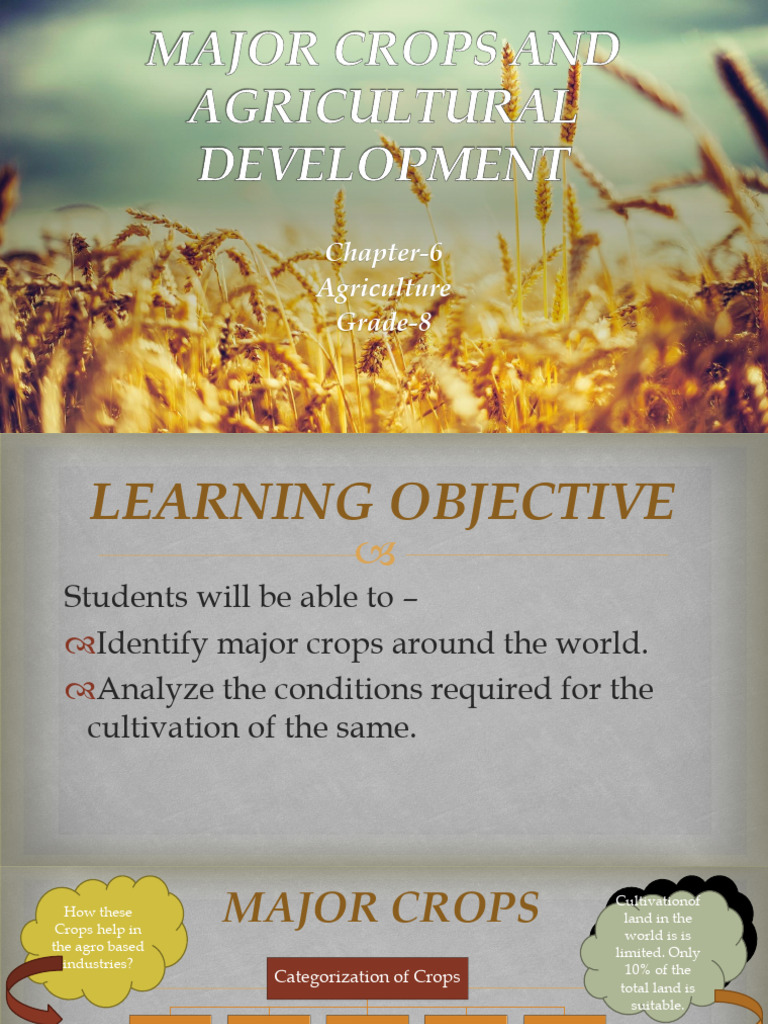Major Global Crops and Agriculture Insights | PDF | Agriculture | Crops