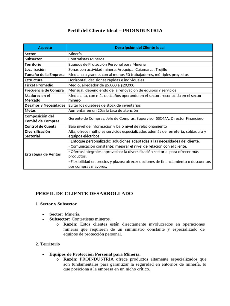 Perfil Del Cliente y Propuesta de Valor Grupo 4 | PDF | Business | Minería