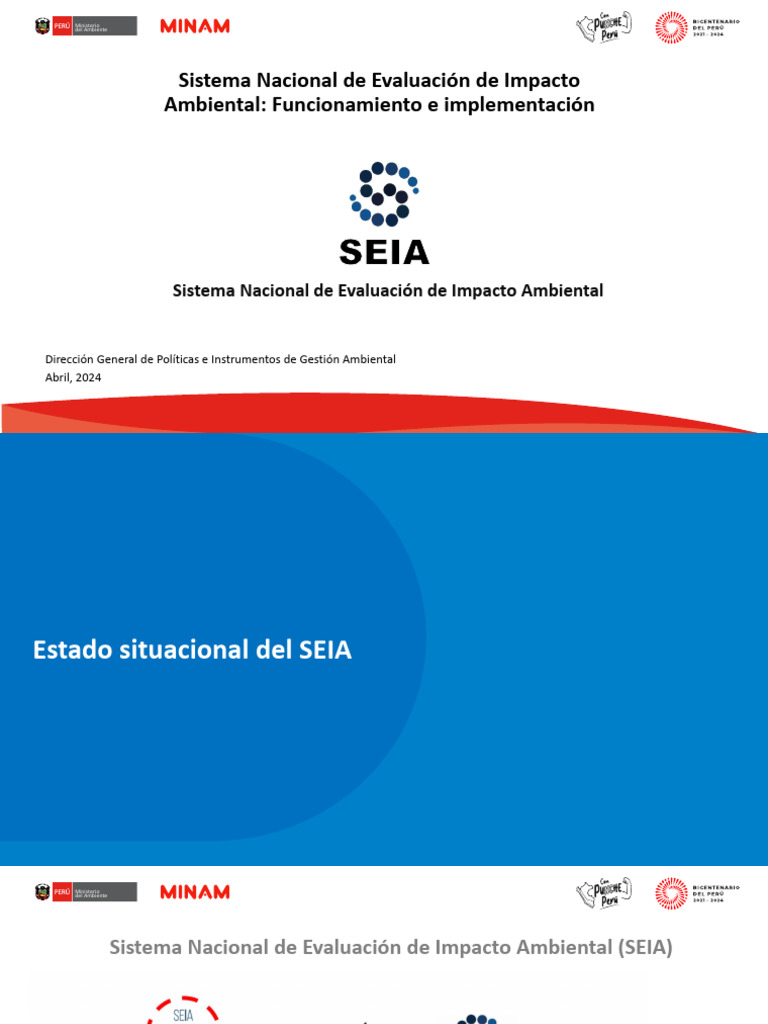 Evaluación del Impacto Ambiental en Perú | PDF | Evaluación de impacto ...