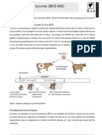 Diarrhee Virale Bovine BVD MD