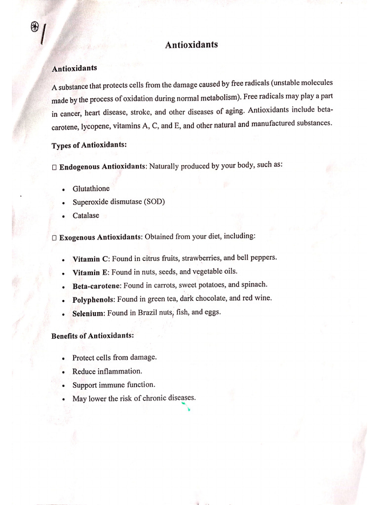 Sheet 03 Antioxidants Pdf