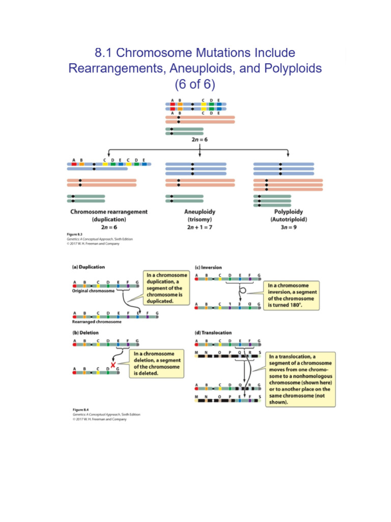Bio and Math Print Notes (100 | PDF