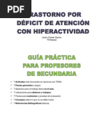 Guia Profesores Secundaria