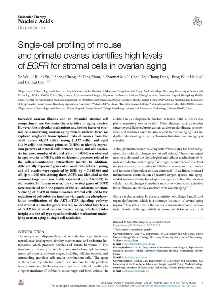 Single Cell Profiling of Mouse and Primate Ovaries | PDF | Ovary ...