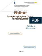 Biofilmes - Formação, Implicações e Controlo na industria alimentar