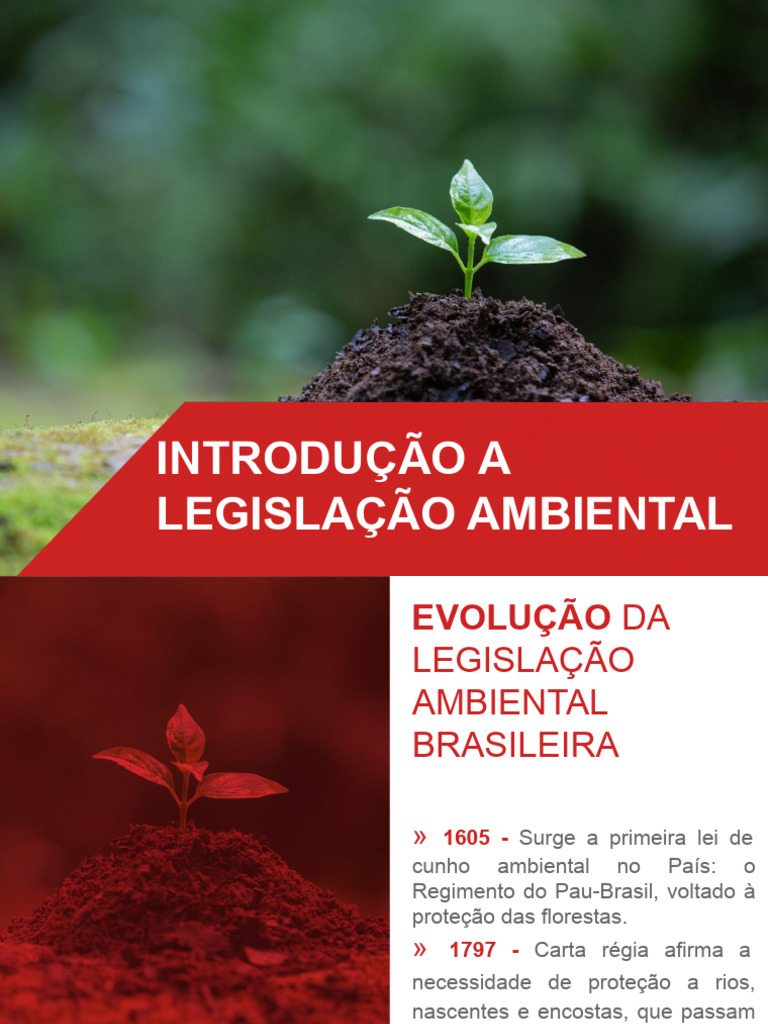 Evolução da Legislação Ambiental no Brasil | PDF | Desperdício ...