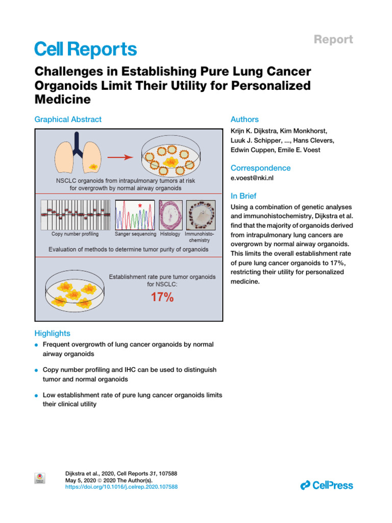 Challenges in Establishing Pure Lung Cancer Organo | PDF | Neoplasms ...