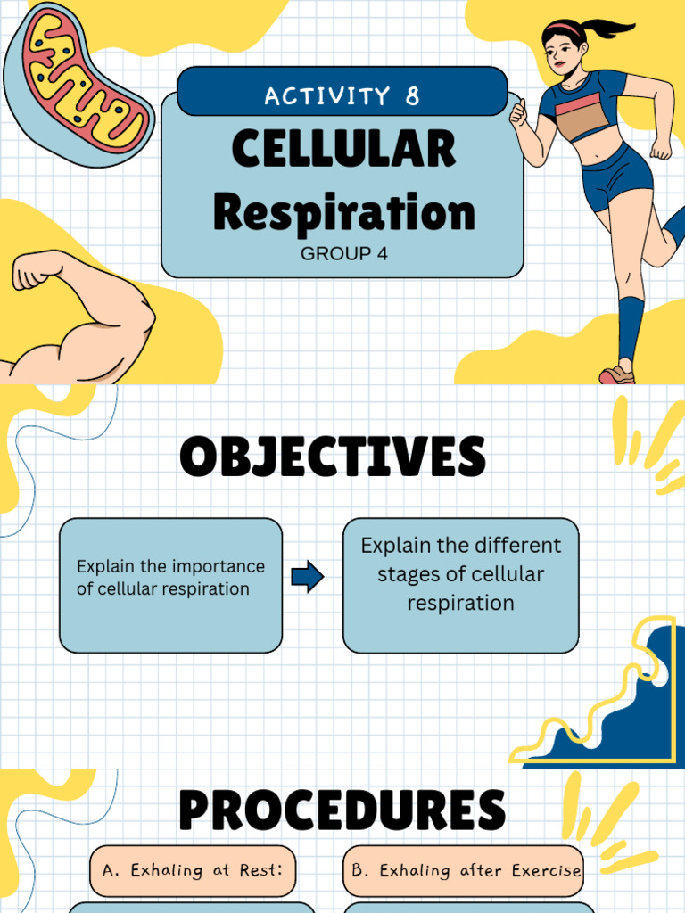 Act 8 Cellular Respiration G4 - 111707 | PDF | Cellular Respiration ...