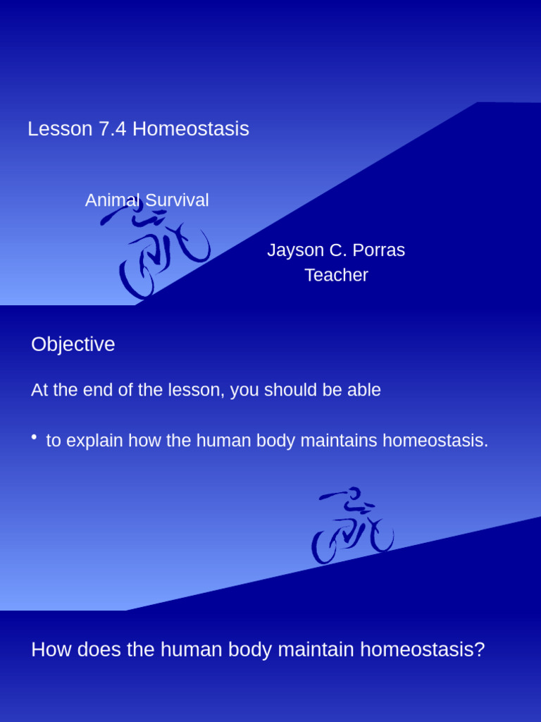 Understanding Homeostasis in Humans | PDF | Homeostasis | Lactation