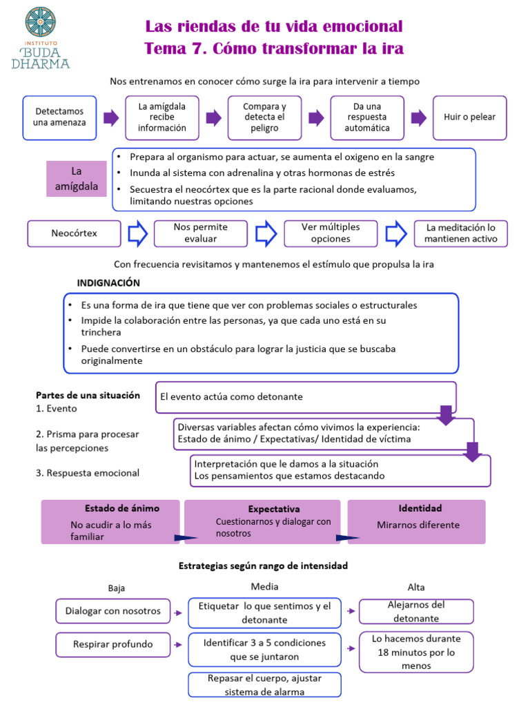 Mapa mental sobre la ira emocional | PDF | Las emociones | Ira