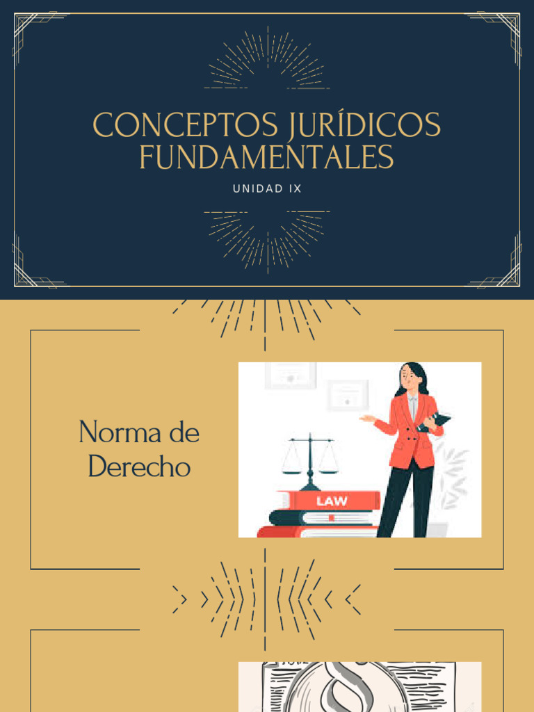 Conceptos Juridicos Fundamentales | PDF