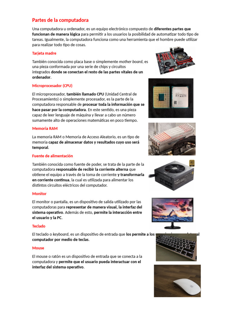 Partes de La Computadora | PDF | Almacenamiento de datos de la ...