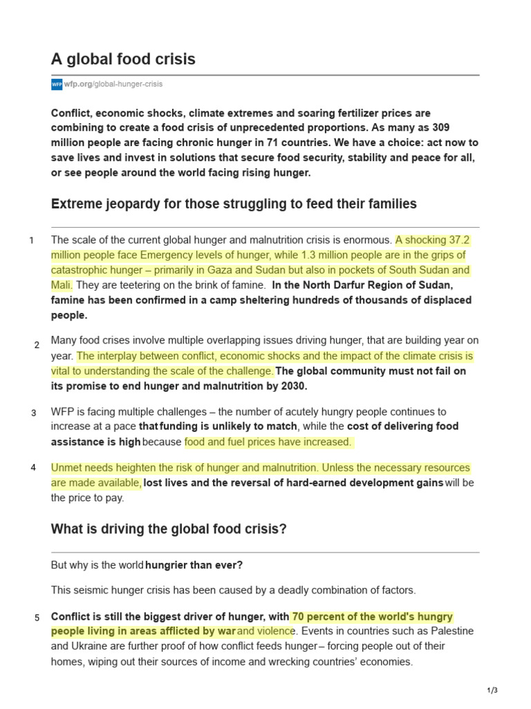 Kami Export - WFP - Org-A Global Food Crisis | PDF | Famine | Hunger