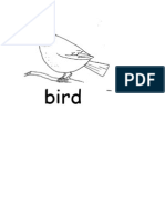 Parts of A Bird
