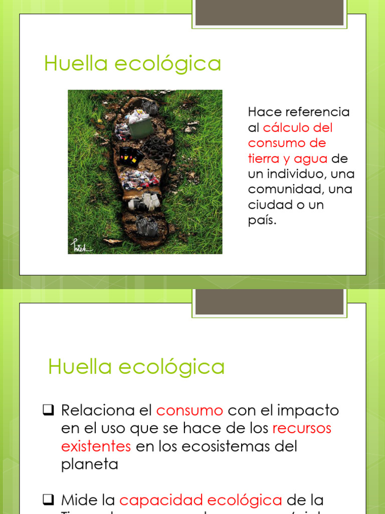 Huella Ecológica: Impacto y Análisis | PDF | Evaluación del ciclo de ...