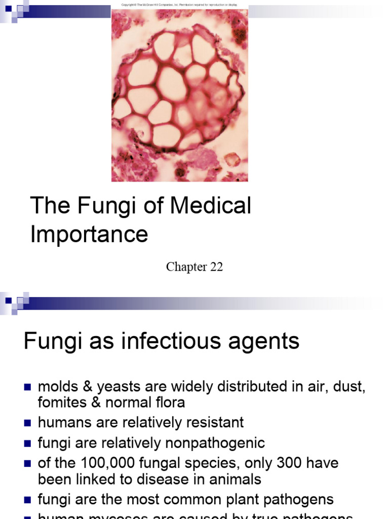MC 1 Fungi of Medical Importance | PDF | Candida (Fungus) | Candidiasis