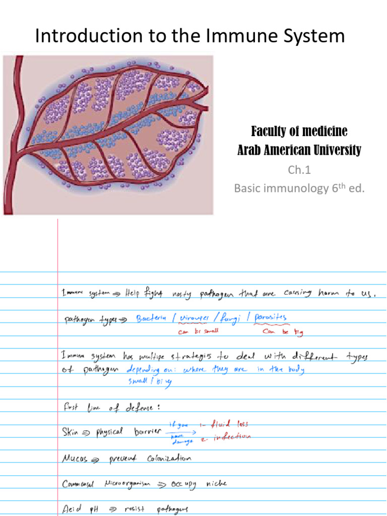 Introction Modified | PDF | Immune System | Adaptive Immune System