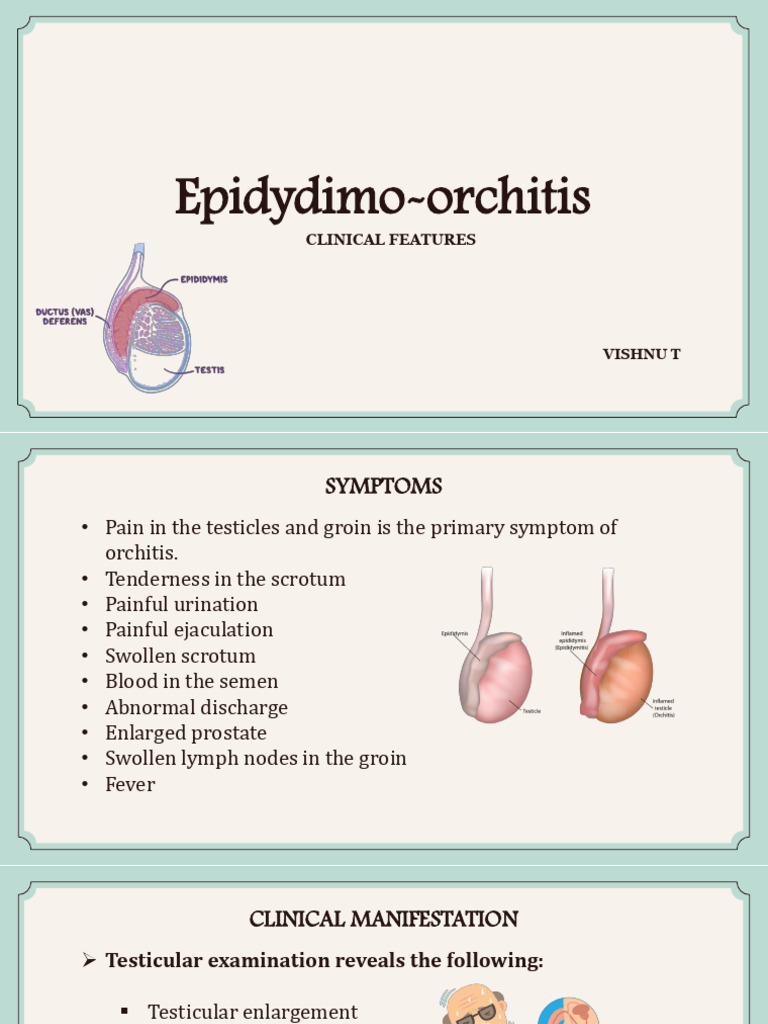 Epididymo-orchitis Symptoms & Signs | PDF