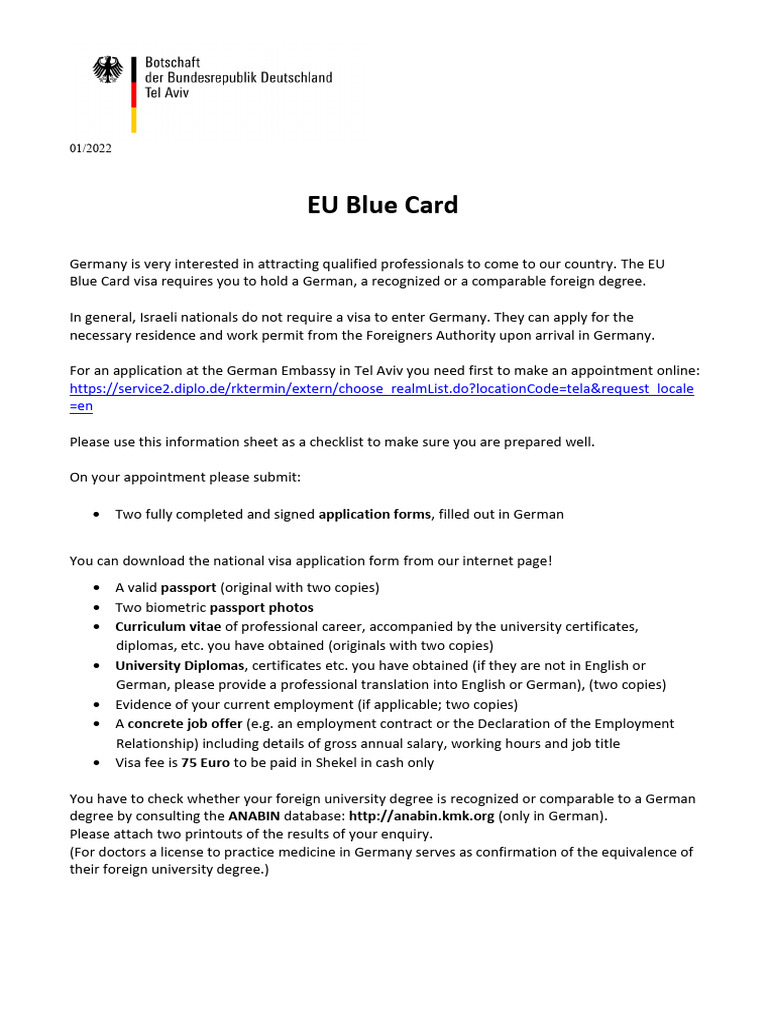 EU Blue Card Application Guide for Germany | PDF | Travel Visa ...